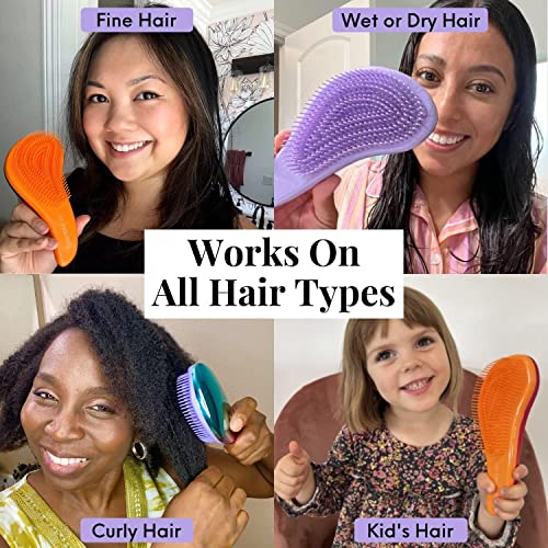Detangle Hair Brush and Wide Tooth Comb Set Easy to Hold Detangler Hairbrush and Detangling Comb for Women and Kids for Wet or Dry, Fine, Curly, Thick, Afro Hair by Lily England (Ombre)